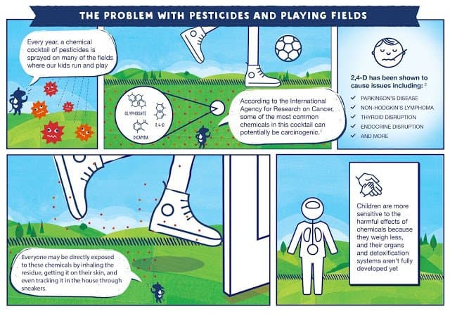 Stonyfield Organic Problem with Pesticides and Playing Fields