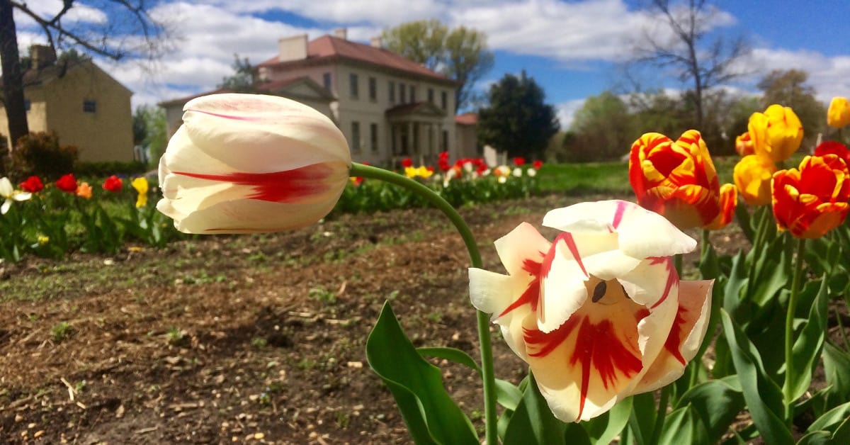 Riversdale House Museum
