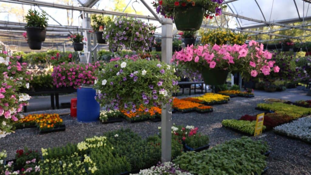Nurseries & Garden Centers Delivering to Route 1 Corridor Route One Fun